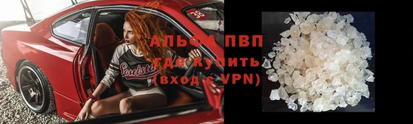 apvp Магадан